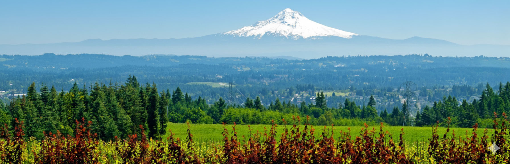 Hillsboro Oregon Accounting & Tax Services for Small Business