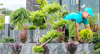 landscaping company