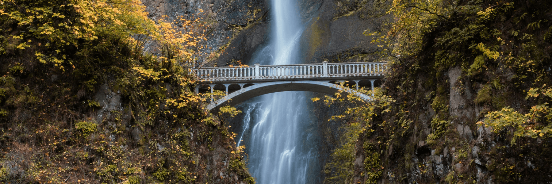 Accounting & Tax Services for Small Business in Northern Oregon